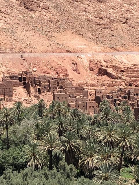 Ancient ruins surrounded by palm trees