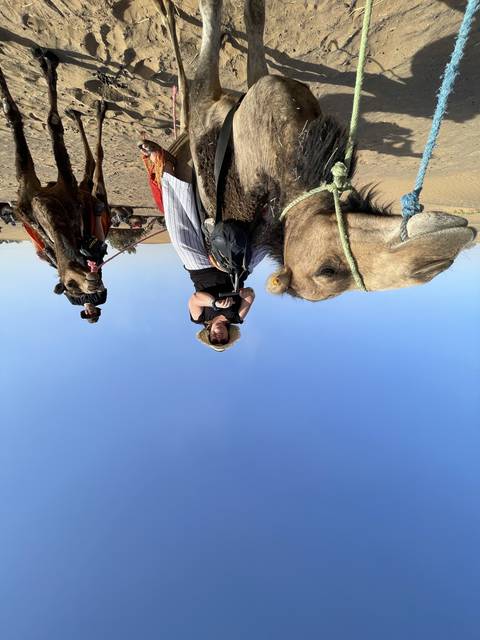       Person riding a camel in desert landscape.
  