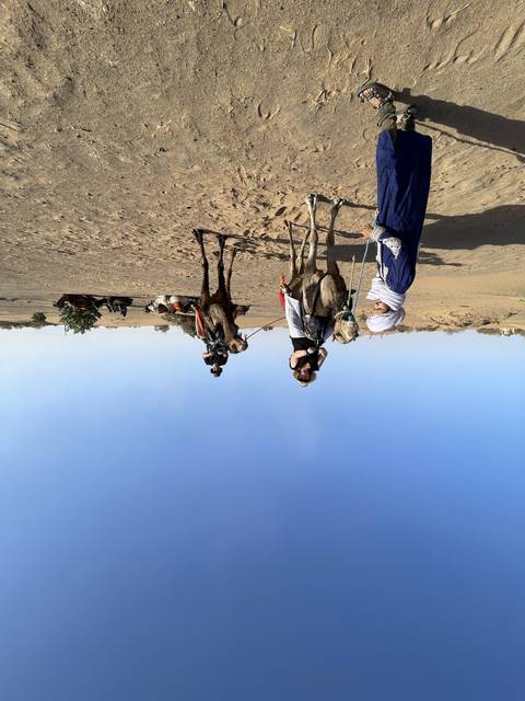 People with camels in a desert landscape.