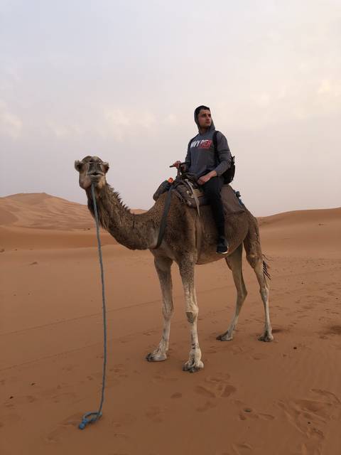       Person riding a camel in the desert.
  