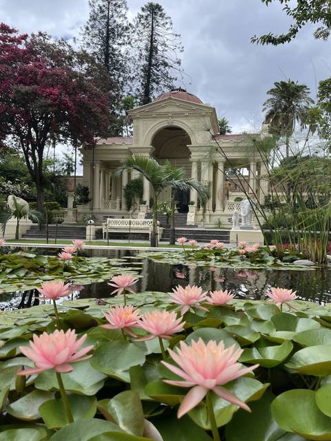       A garden with pink water lilies and a pavilion.
  