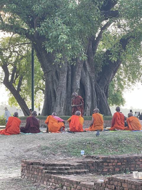 Monks meditating under a large tree.