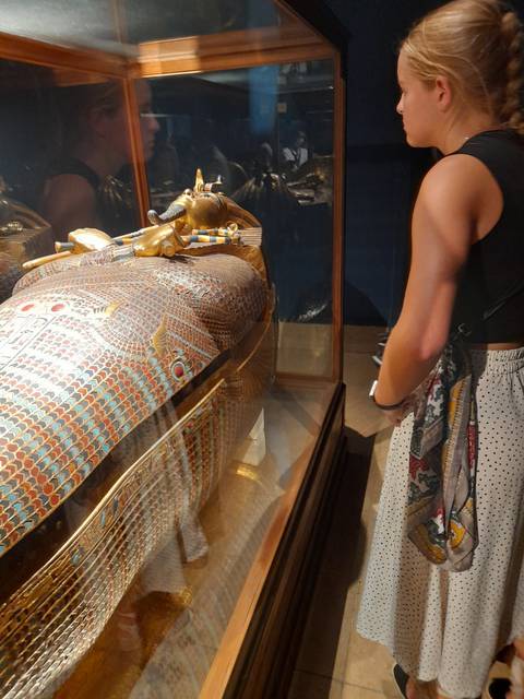       Person looking at a decorative sarcophagus in a museum.
  