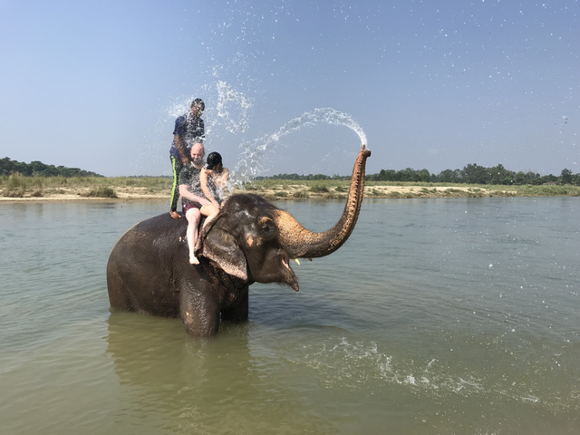 People on an elephant having fun in a river.
