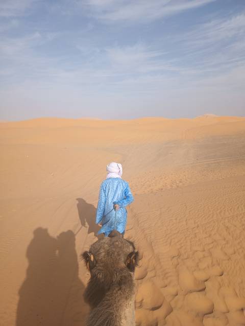       A person riding a camel in a desert.
  