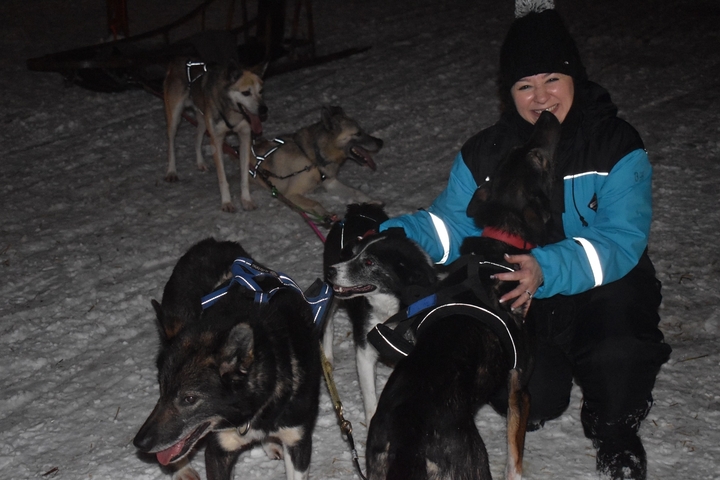 Person interacting with sled dogs on snow.
