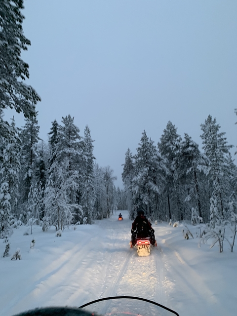 Snowmobiles on a snowy trail in a forest.