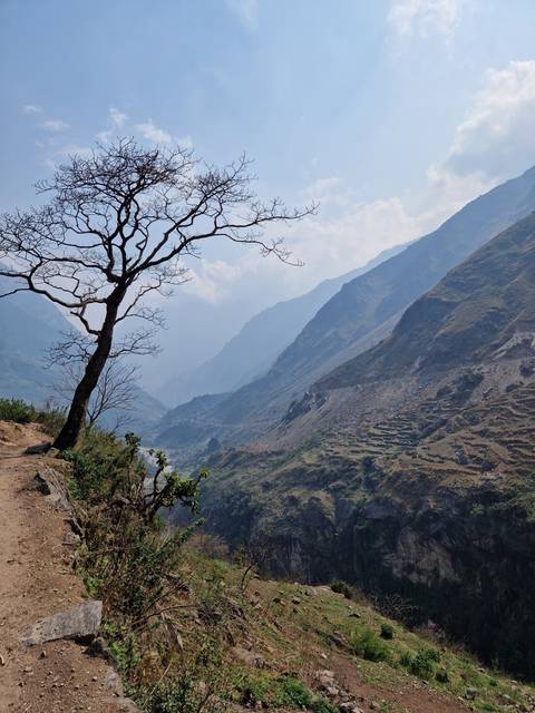       Mountain landscape with a solitary tree and valleys.
  
