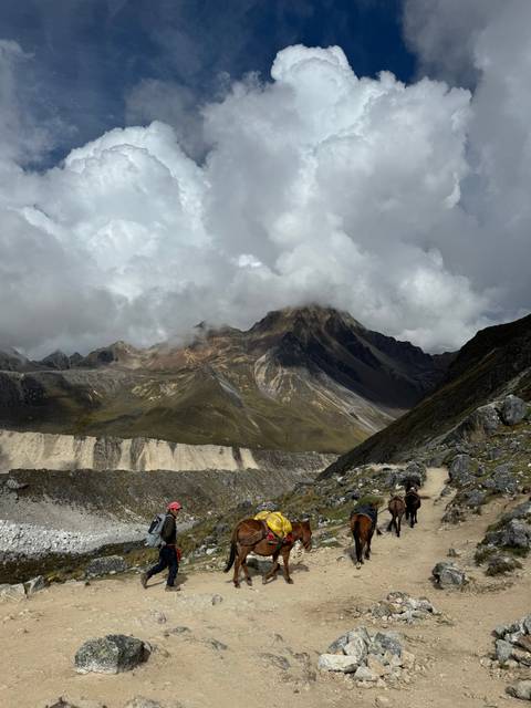 Person hiking with horses and a scenic mountain backdrop.