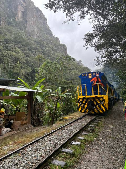 Train on tracks in a lush forested area.