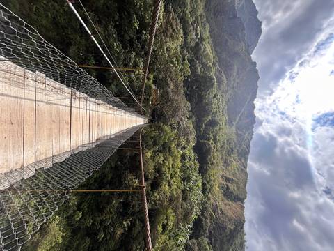 Suspension bridge in a lush green forest.