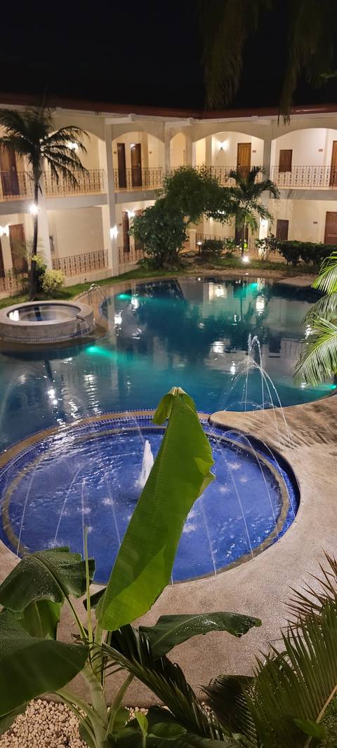       Indoor pool with greenery and lights.
  