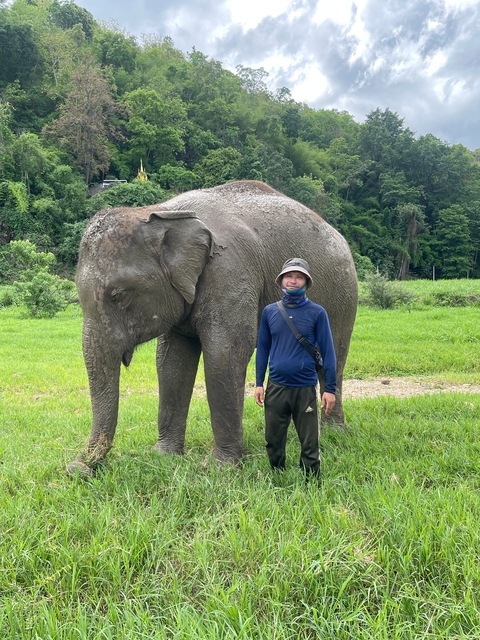       A person standing next to an elephant in a grassy field.
  
