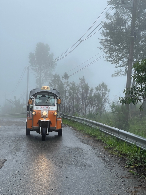       Tuk-tuk driving on a foggy forest road.
  