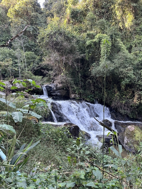       Waterfall flowing over rocks surrounded by trees.
  