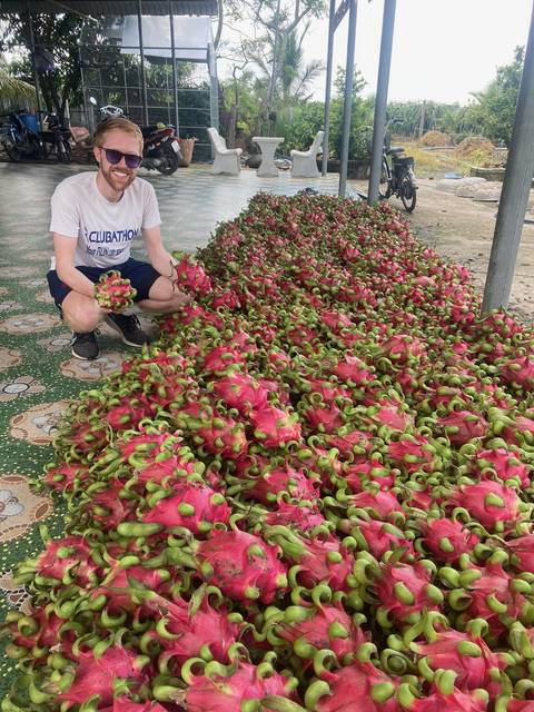       Person sitting among a large pile of dragon fruits.
  