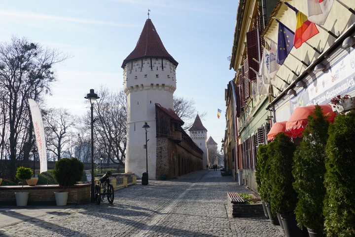 Cobbled street with historic towers and buildings.