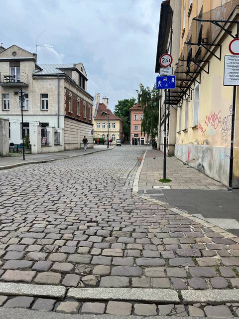       A cobblestone street in a European city with residential buildings.
  