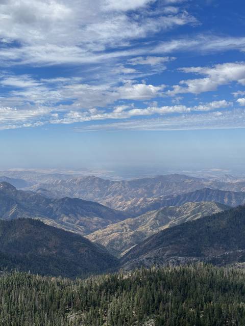       Overhead view of a mountainous forest landscape.
  