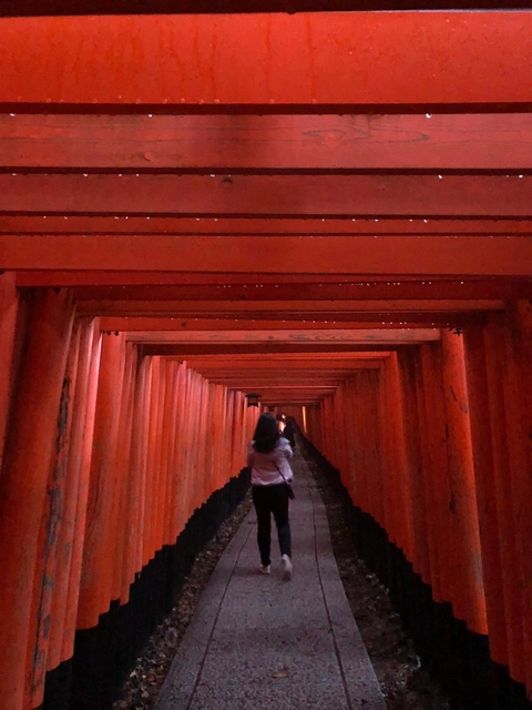 Person walking through a tunnel of red torii gates.