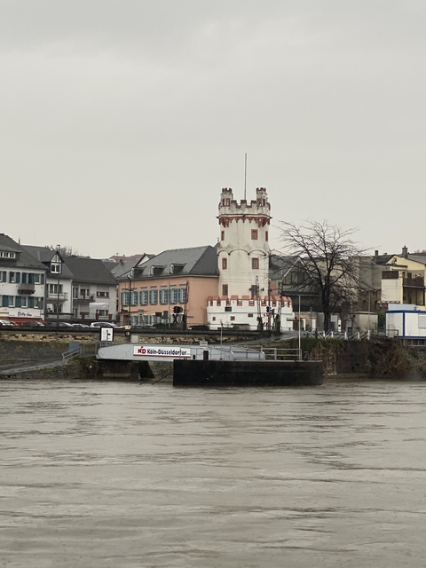 Riverside view featuring a castle-like building.