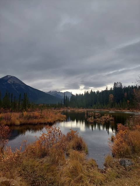       A serene lake with reflected trees and mountains in the background.
  