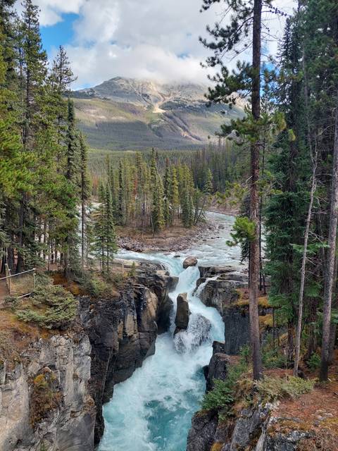 Waterfall amidst rocky terrain and tall evergreen trees.