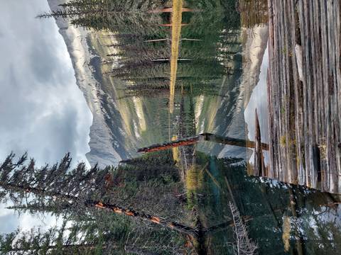       Calm lake reflecting trees and mountains, with a wooden dock in view.
  