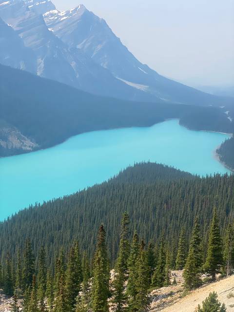 A turquoise lake with mountains and trees around.