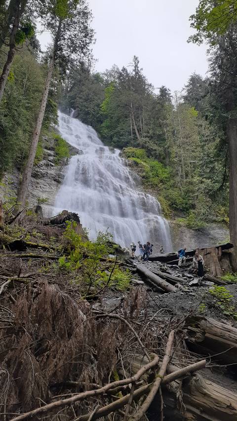       Waterfall cascading down rocks in a forest setting with people nearby.
  