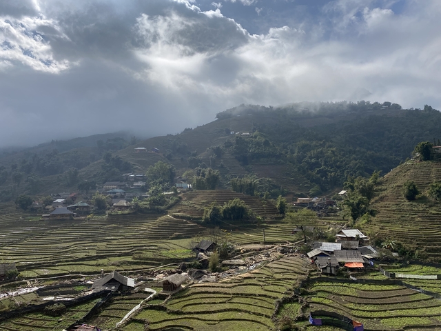       Lush terraced fields under a dramatic sky.
  