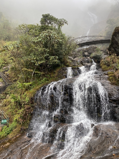 Waterfall surrounded by lush vegetation.