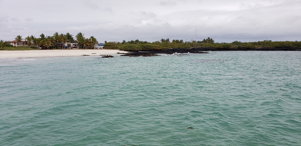       Beach view with clear water and nearby buildings.
  