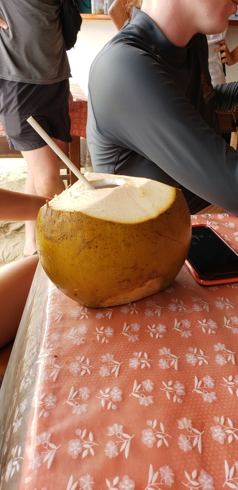       Coconut and phone on a floral tablecloth.
  