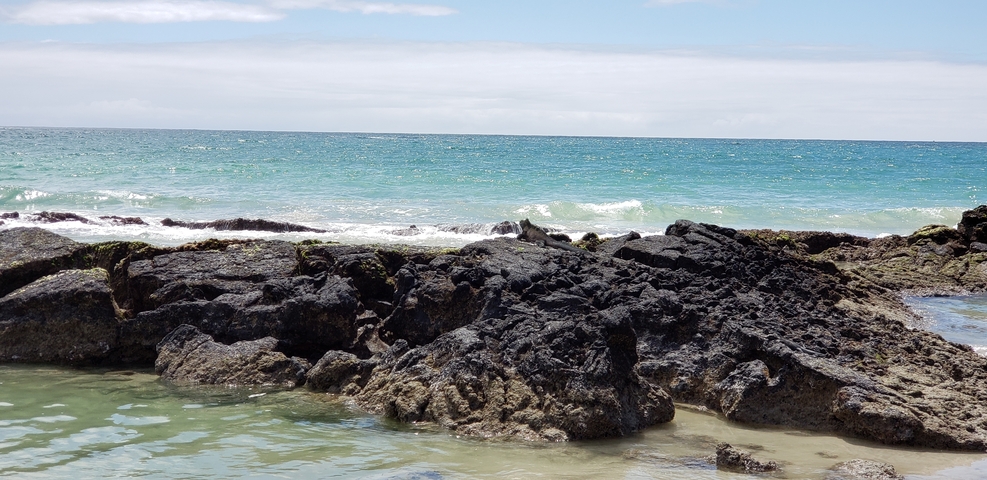       Rocky beach with ocean waves.
  
