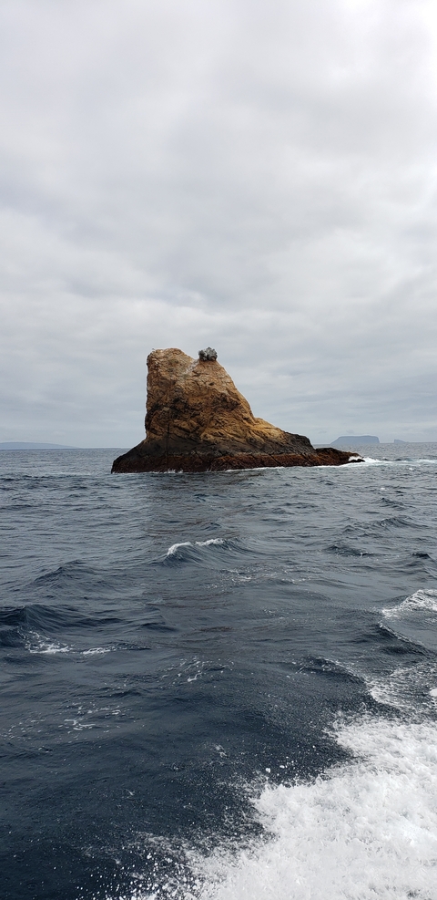       Rock formation in the ocean.
  