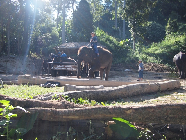 Elephant being ridden with a guide in a forested area