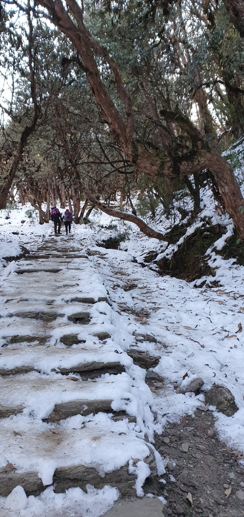       Annapurna View Trek customer review photo 
  