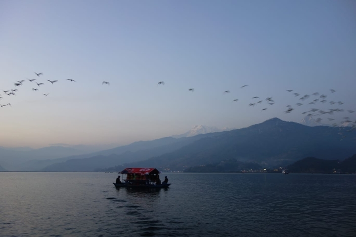       A boat on a lake with birds flying and mountains in the background.
  