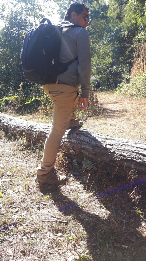 A person walking on a fallen tree.