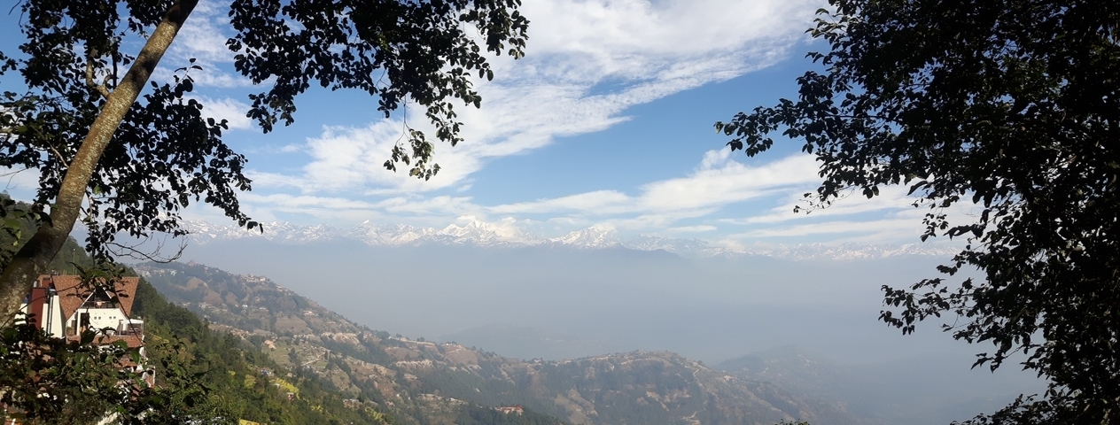 Mountain range with tree branches framing the view.