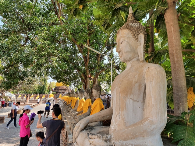 Line of Buddha statues with yellow robes under trees.
