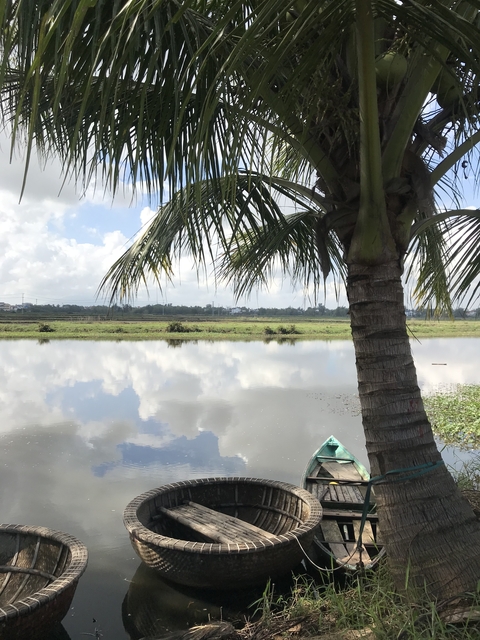      Palm tree reflected in a still body of water.
  