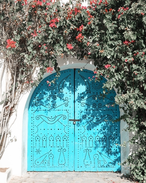 A decorative blue door with ornate patterns surrounded by flowering vines.