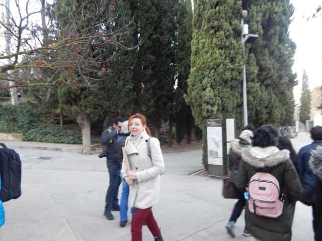 Several people walking along a tree-lined pathway during the day.