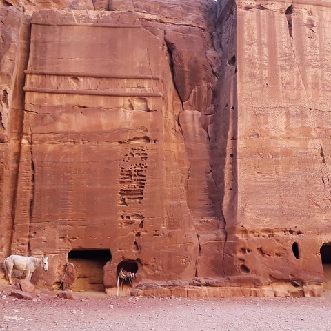       Close-up of textured rock wall with carvings.
  