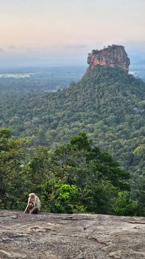 Scenic view with lush greenery and rock formations.