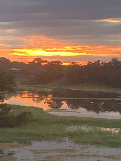 Sunset over water and trees reflecting on the surface.