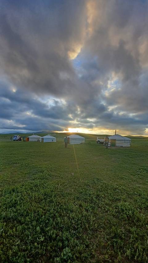 Traditional gers on a grassland with overcast sky.