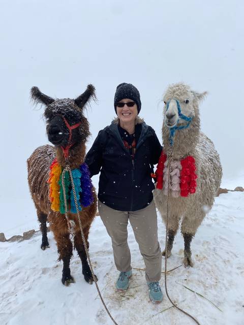 Person posing with llamas in a snowy area